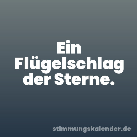 Ein Flügelschlag der Sterne.