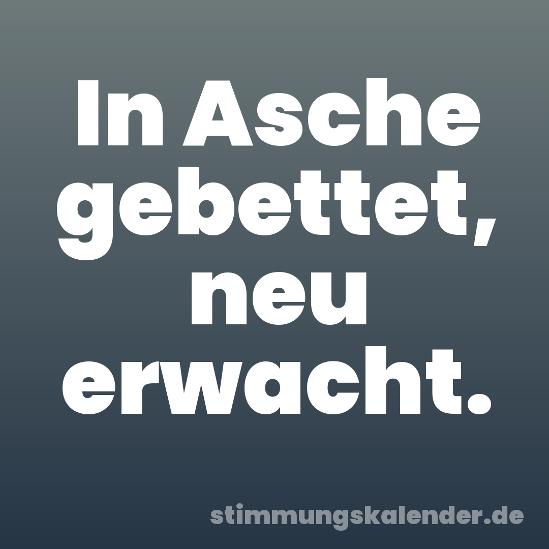 In Asche gebettet, neu erwacht.