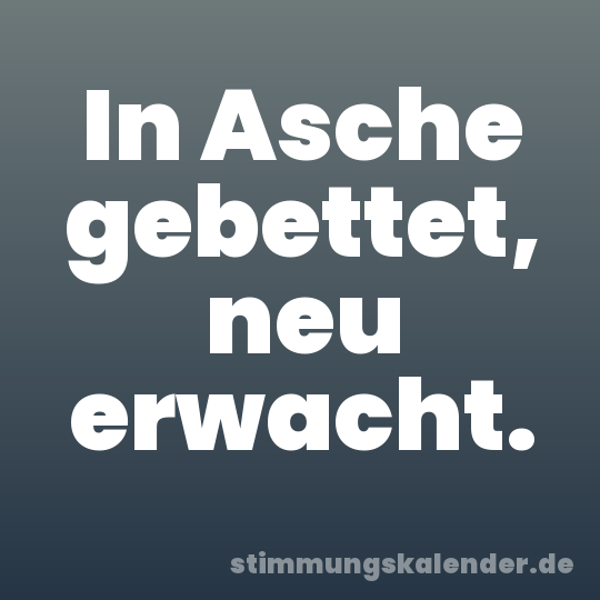 In Asche gebettet, neu erwacht.