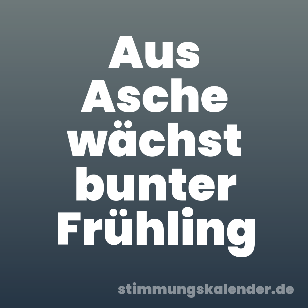 Aus Asche wächst bunter Frühling