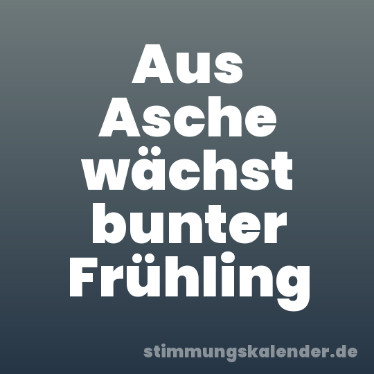 Aus Asche wächst bunter Frühling