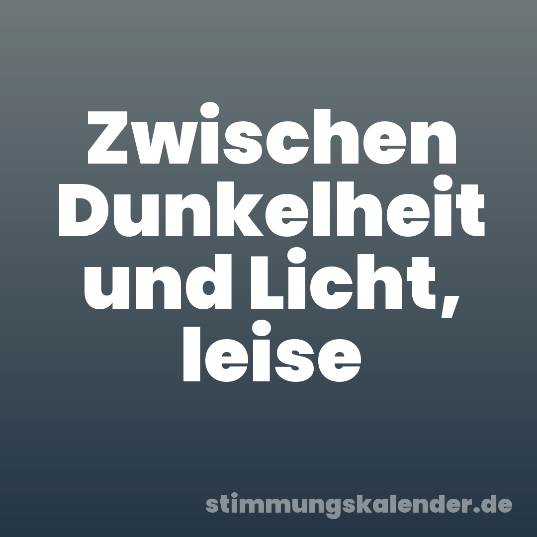 Zwischen Dunkelheit und Licht, leise