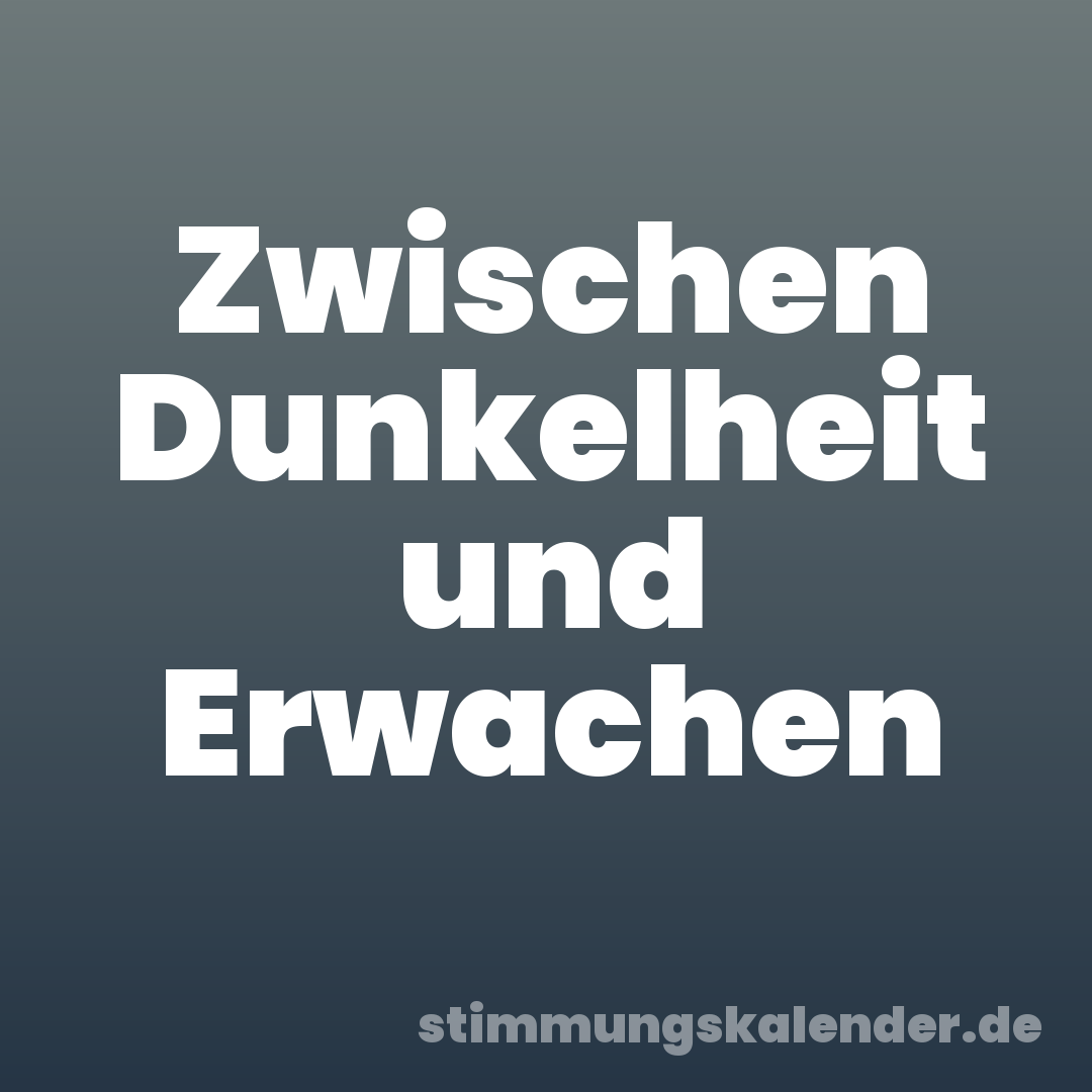 Zwischen Dunkelheit und Erwachen