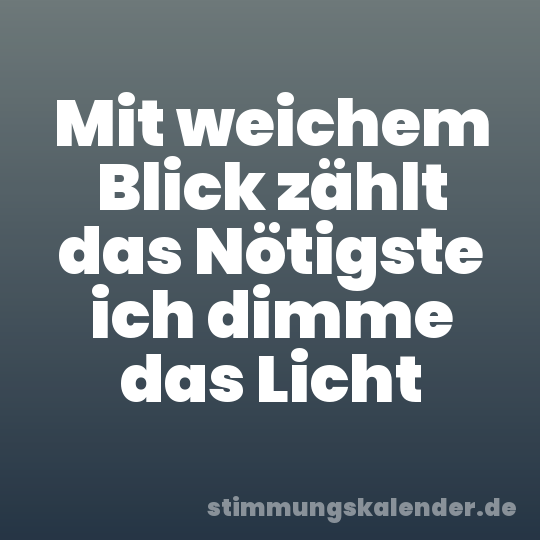 Mit weichem Blick zählt das Nötigste ich dimme das Licht
