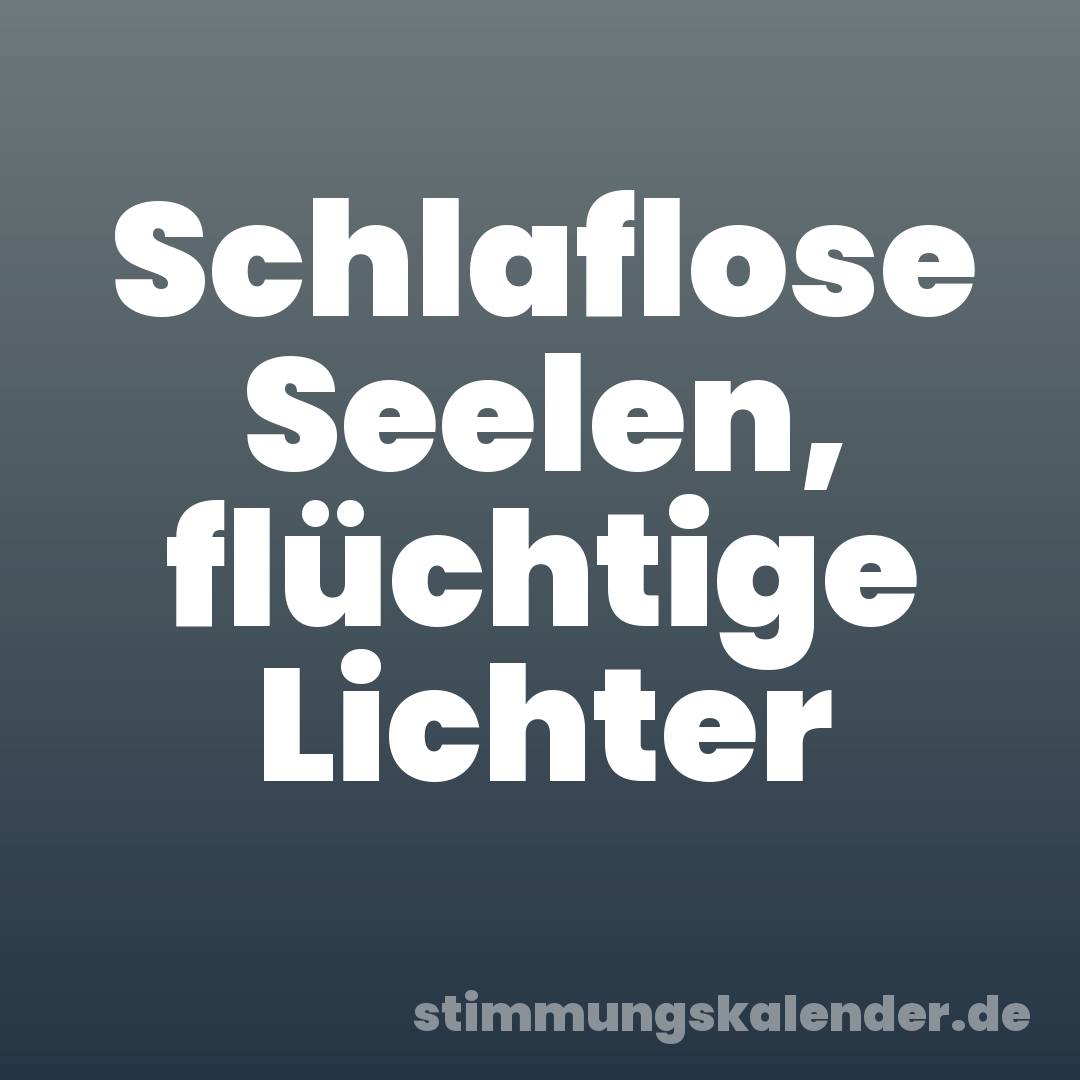 Schlaflose Seelen, flüchtige Lichter