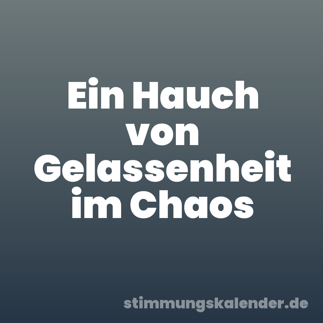 Ein Hauch von Gelassenheit im Chaos