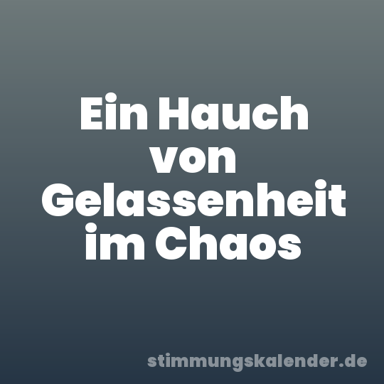 Ein Hauch von Gelassenheit im Chaos