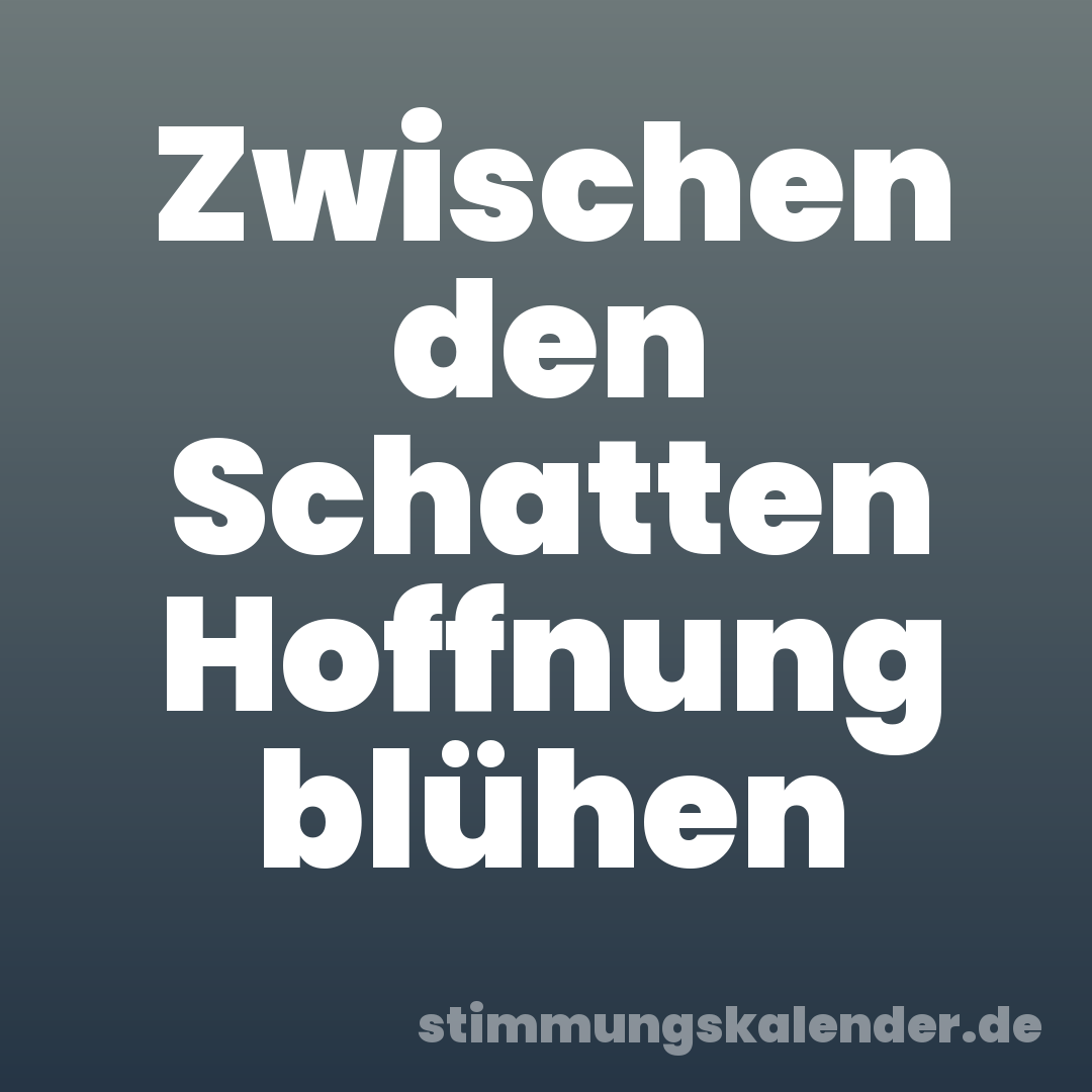 Zwischen den Schatten Hoffnung blühen