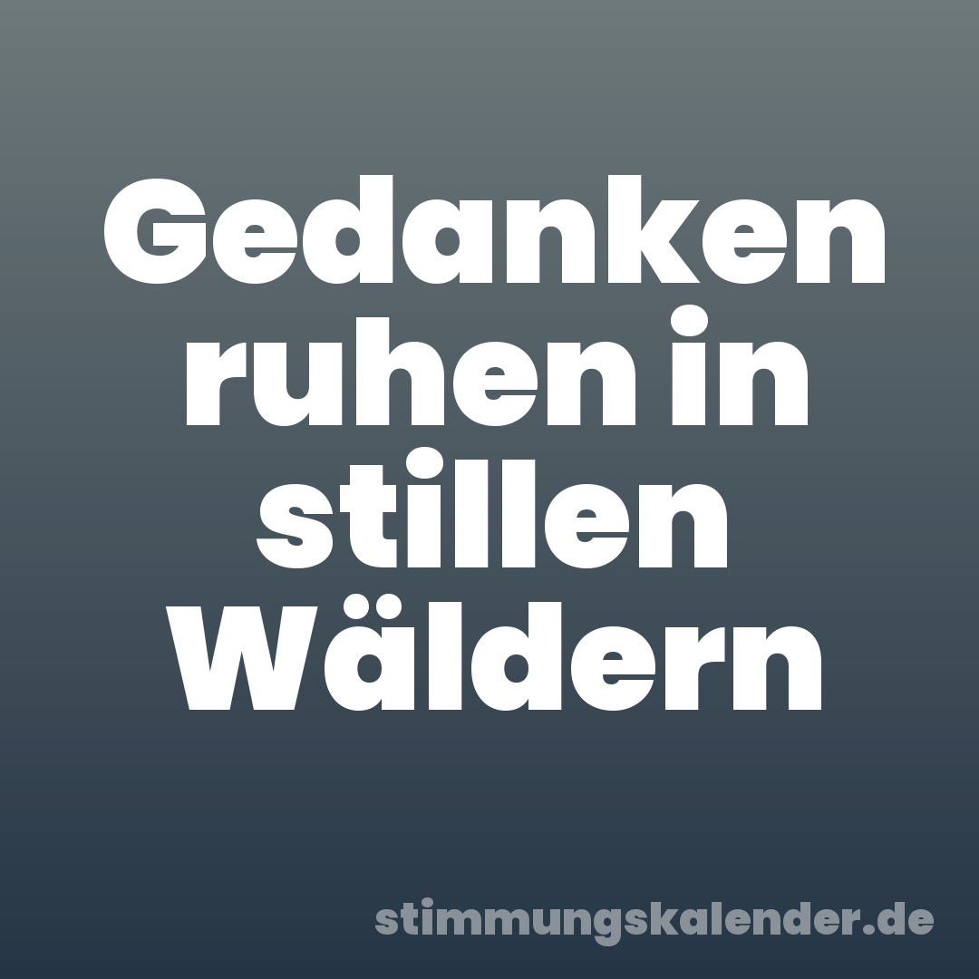 Gedanken ruhen in stillen Wäldern