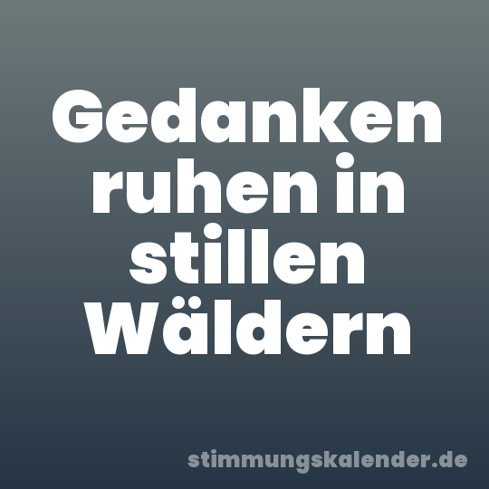 Gedanken ruhen in stillen Wäldern