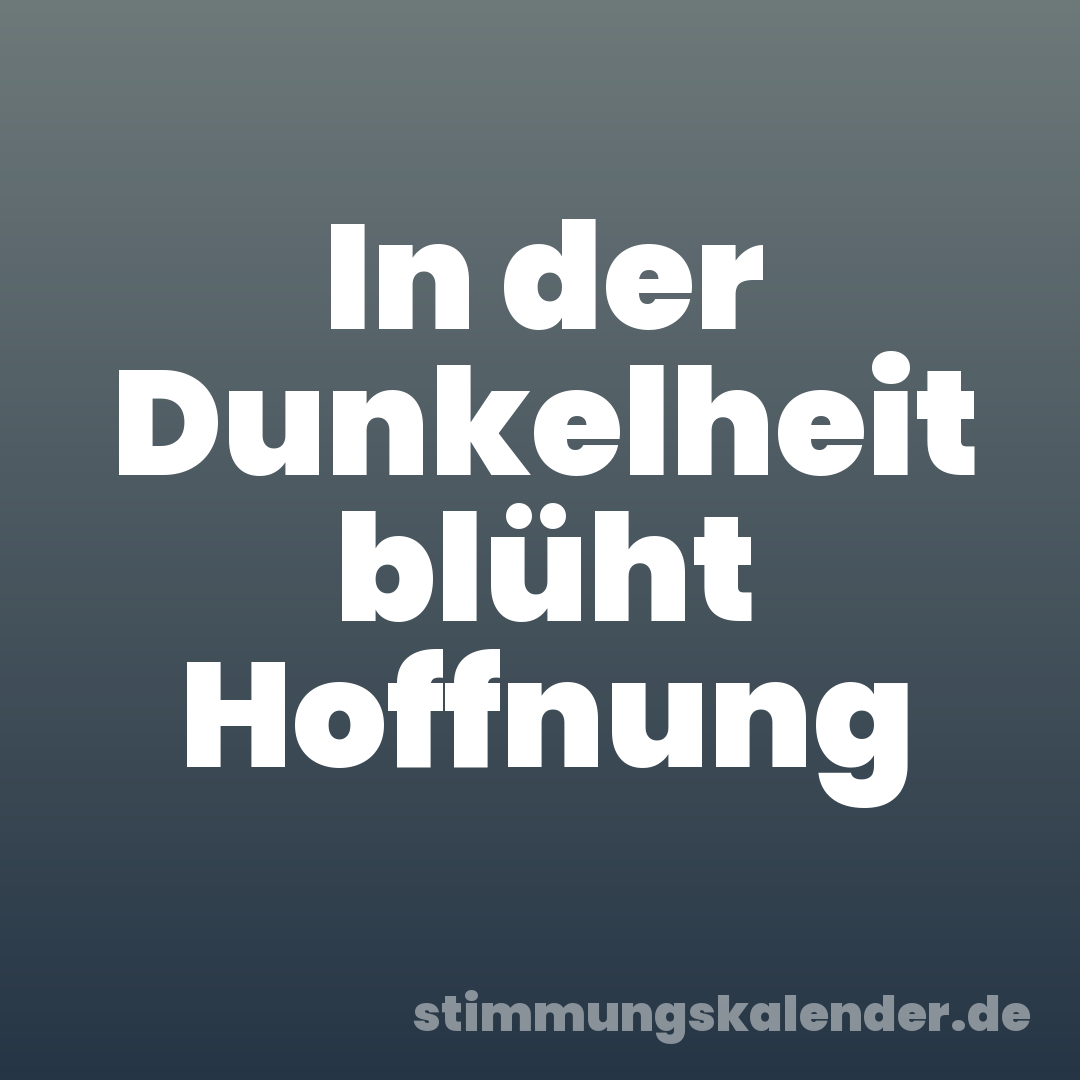 In der Dunkelheit blüht Hoffnung