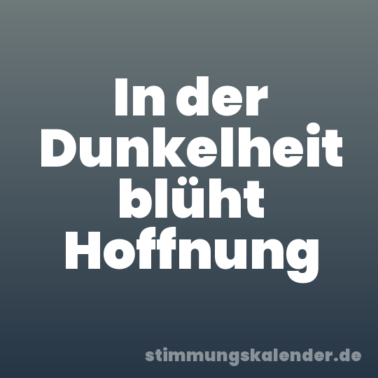 In der Dunkelheit blüht Hoffnung