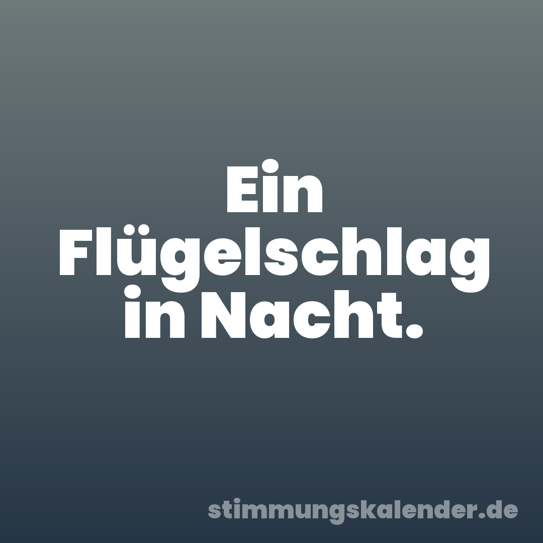Ein Flügelschlag in Nacht.