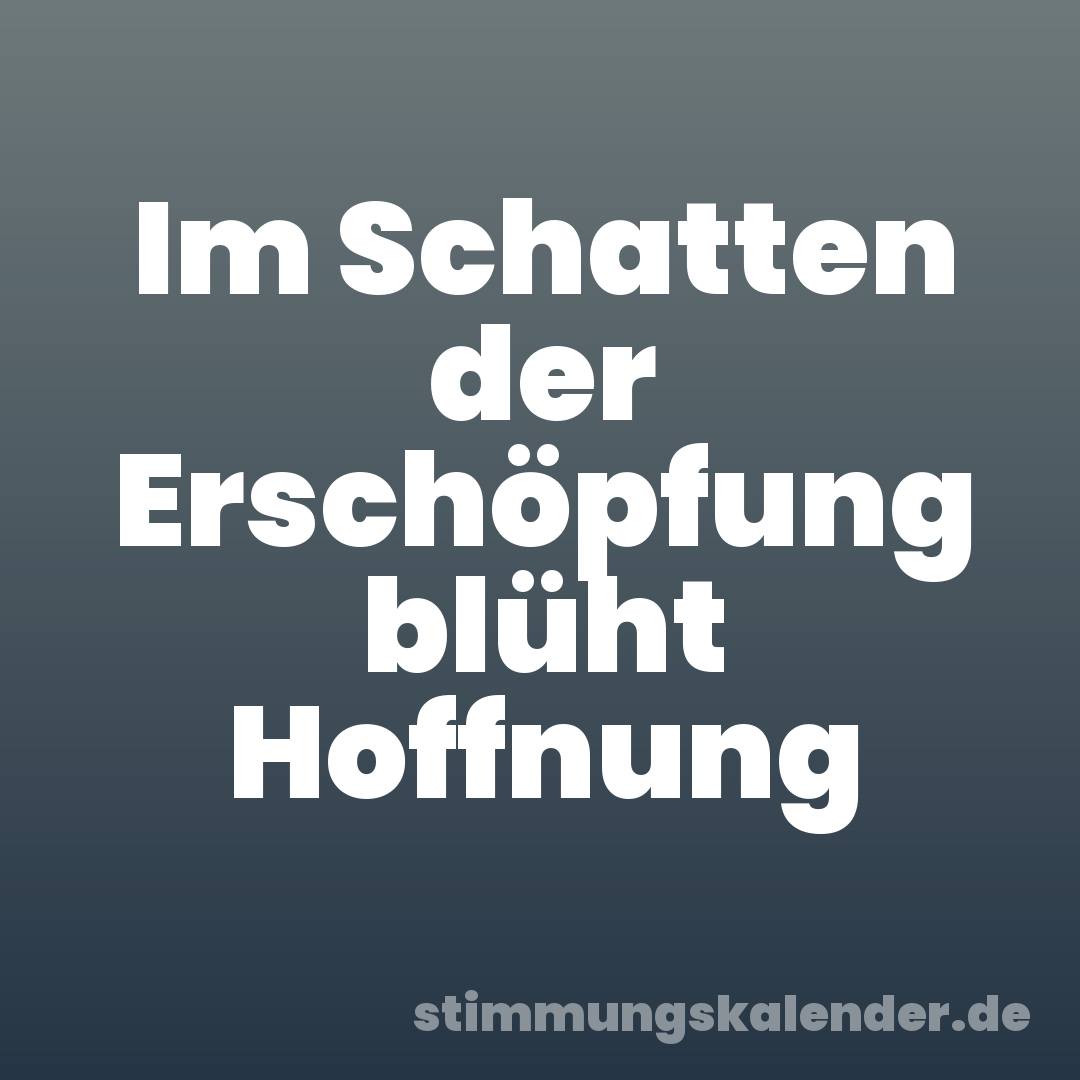 Im Schatten der Erschöpfung blüht Hoffnung