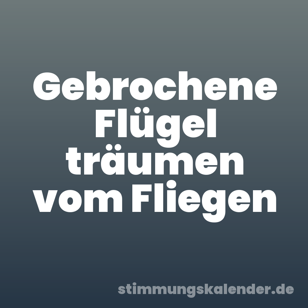 Gebrochene Flügel träumen vom Fliegen