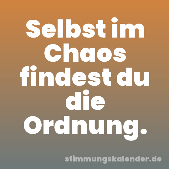 Selbst im Chaos findest du die Ordnung.