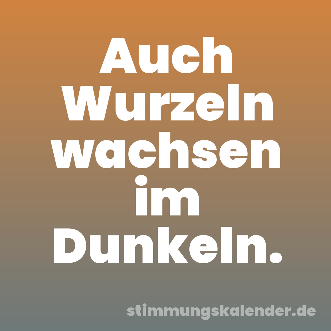 Auch Wurzeln wachsen im Dunkeln.