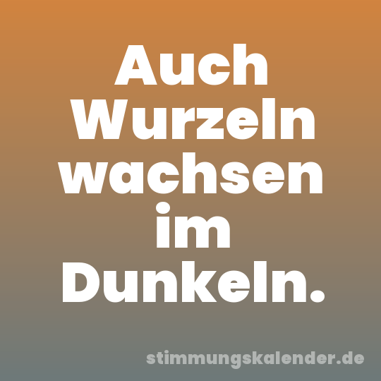 Auch Wurzeln wachsen im Dunkeln.