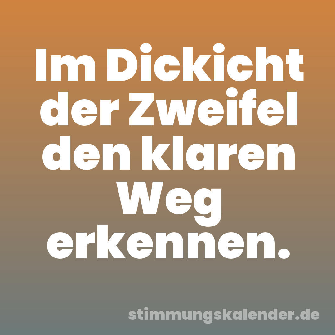 Im Dickicht der Zweifel den klaren Weg erkennen.