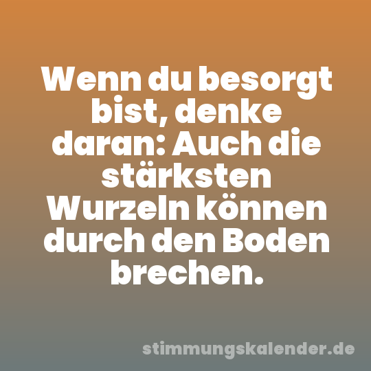 Wenn du besorgt bist, denke daran: Auch die stärksten Wurzeln können durch den Boden brechen.