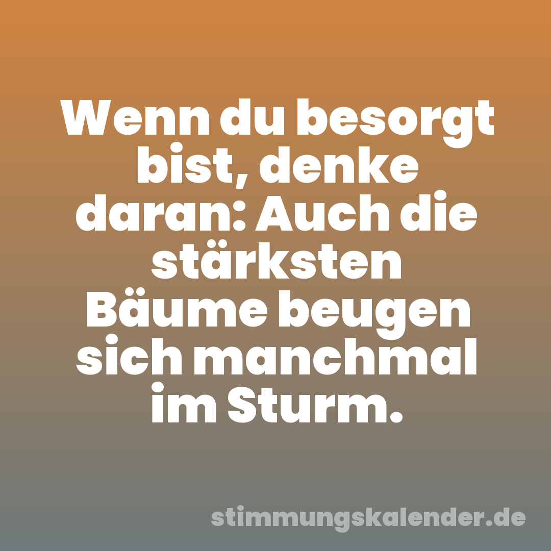 Wenn du besorgt bist, denke daran: Auch die stärksten Bäume beugen sich manchmal im Sturm.
