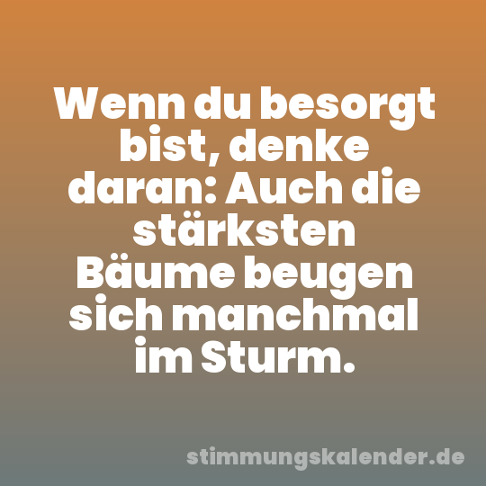Wenn du besorgt bist, denke daran: Auch die stärksten Bäume beugen sich manchmal im Sturm.