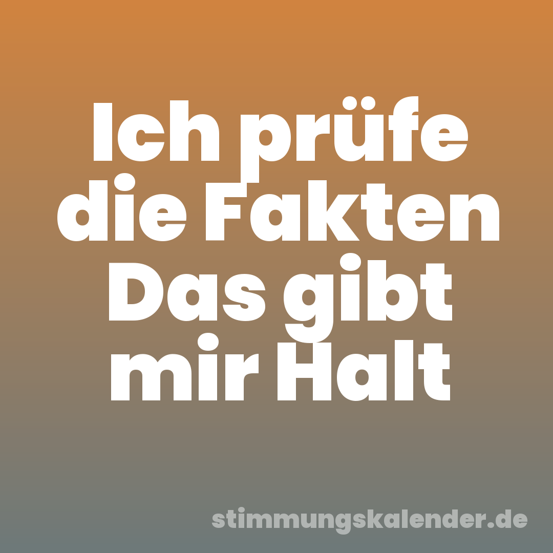 Ich prüfe die Fakten Das gibt mir Halt