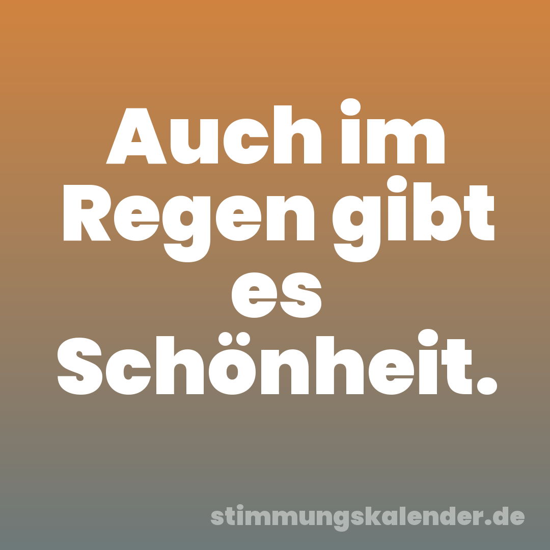 Auch im Regen gibt es Schönheit.