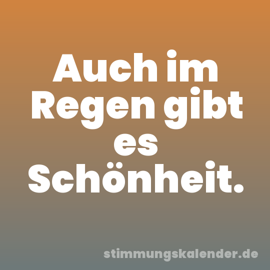 Auch im Regen gibt es Schönheit.