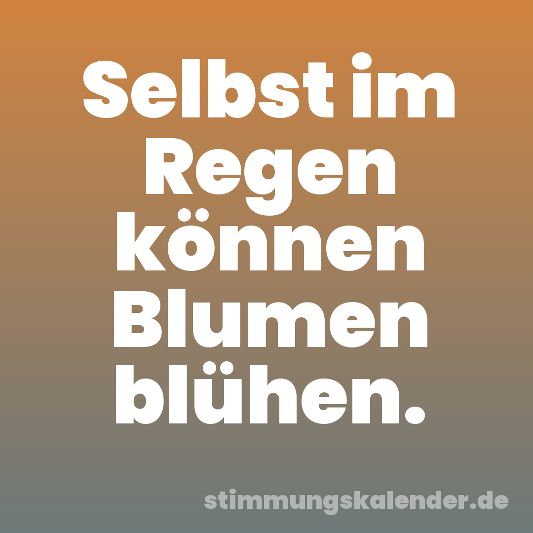 Selbst im Regen können Blumen blühen.