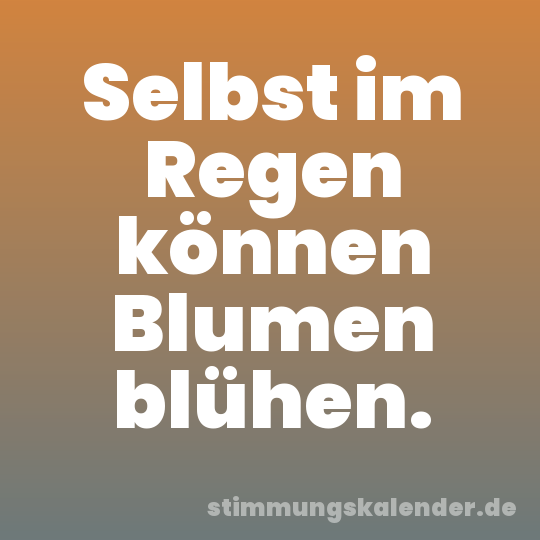 Selbst im Regen können Blumen blühen.
