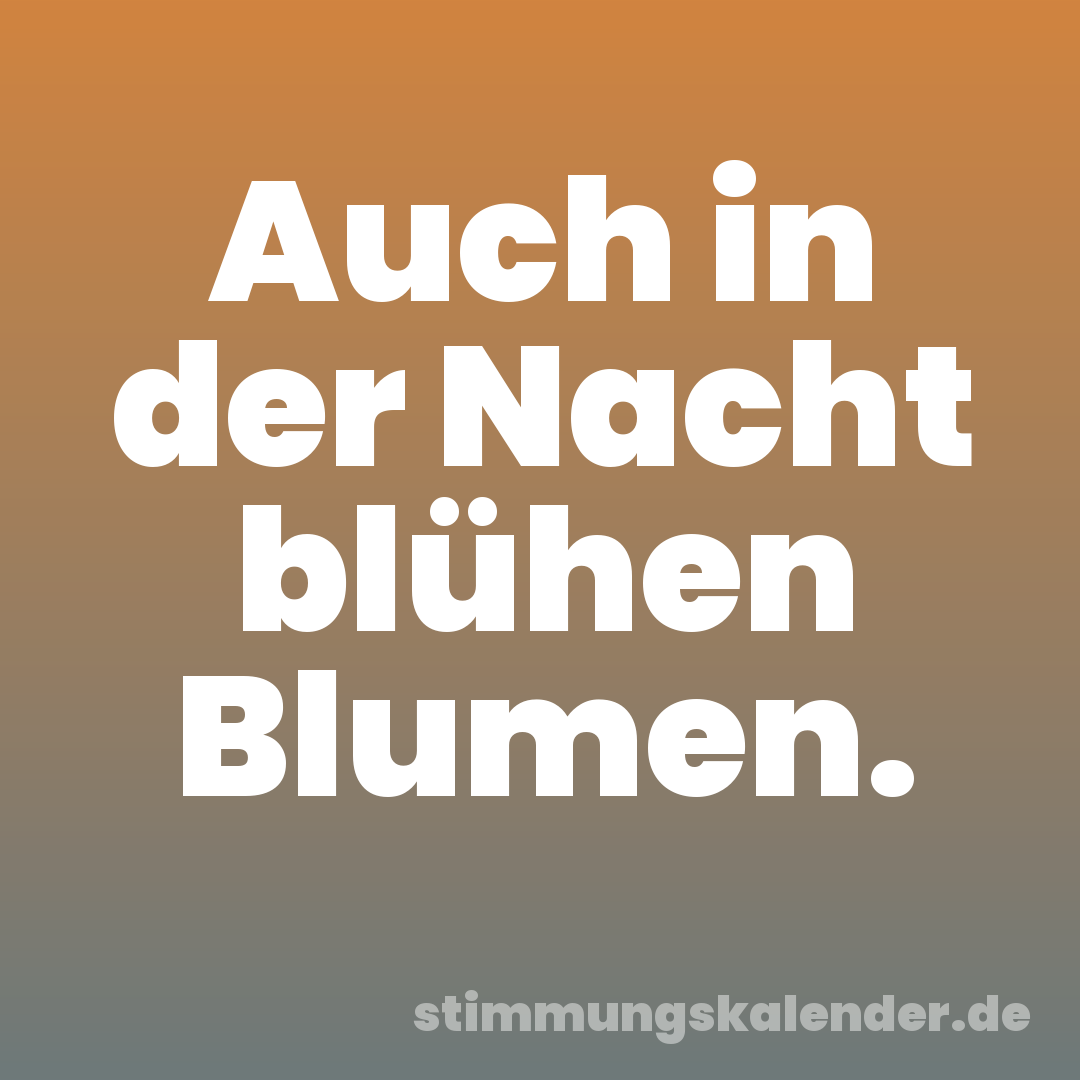 Auch in der Nacht blühen Blumen.