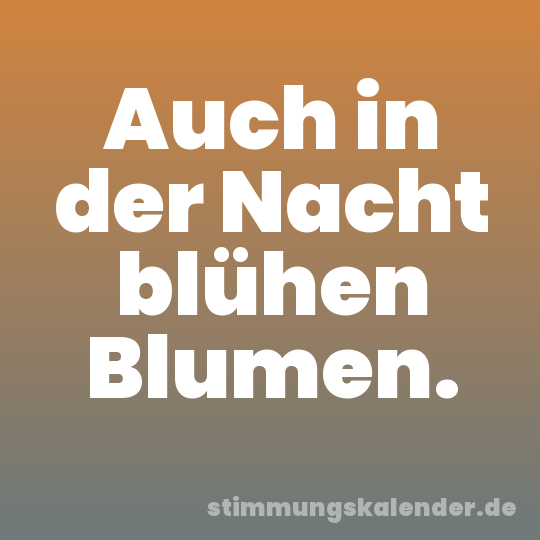 Auch in der Nacht blühen Blumen.
