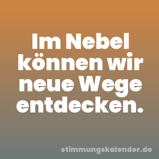 Im Nebel können wir neue Wege entdecken.