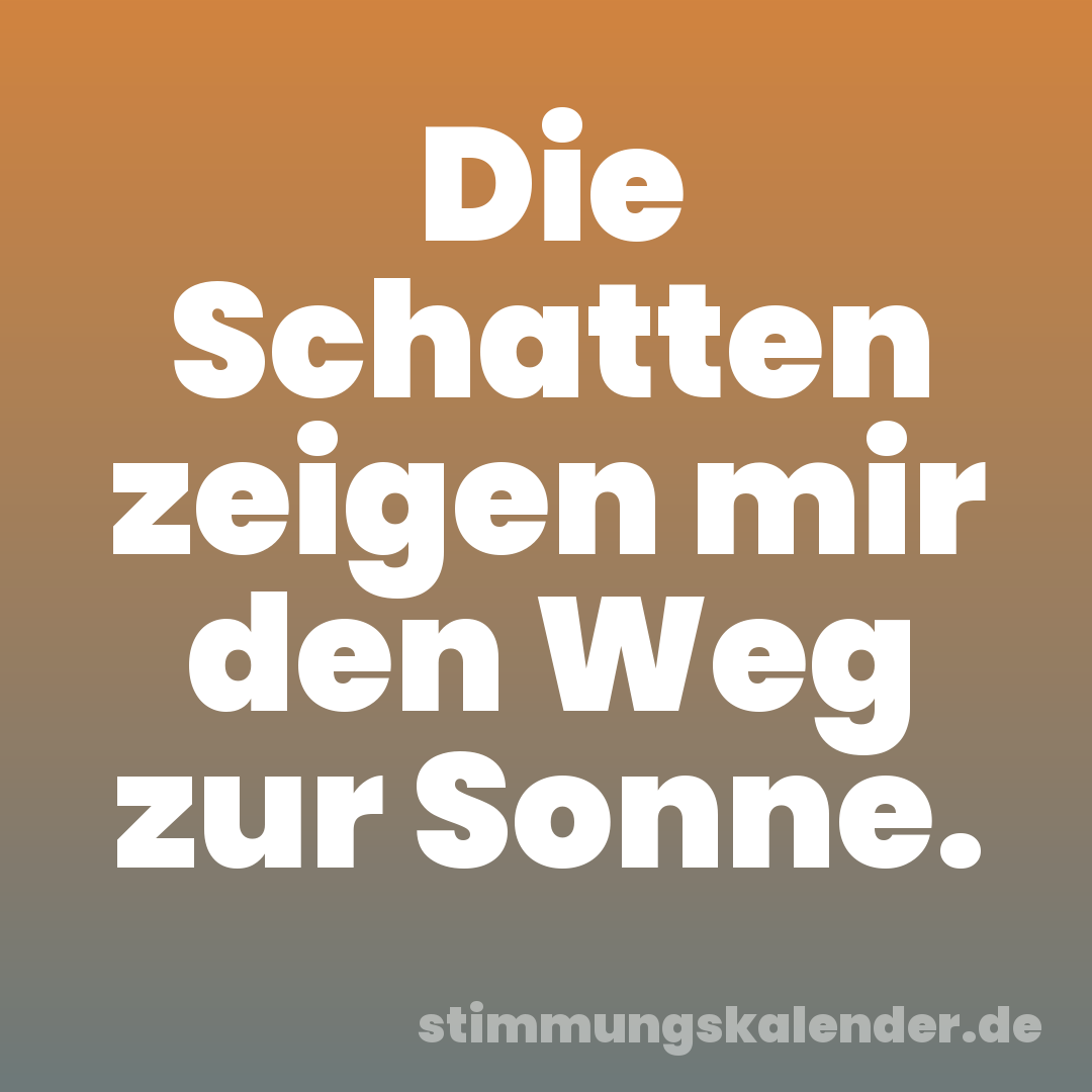 Die Schatten zeigen mir den Weg zur Sonne.