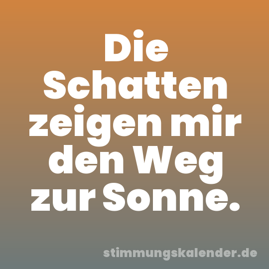Die Schatten zeigen mir den Weg zur Sonne.
