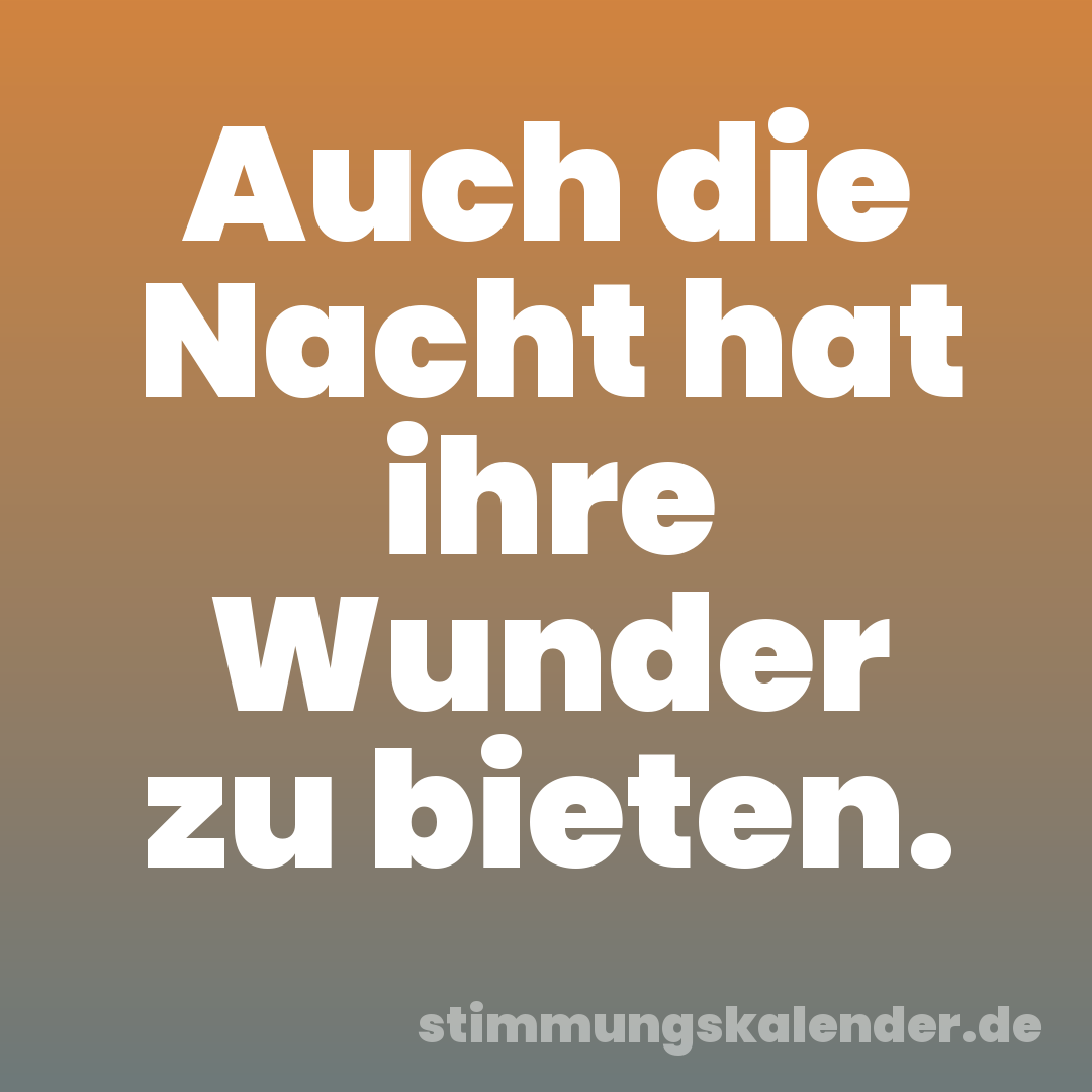 Auch die Nacht hat ihre Wunder zu bieten.