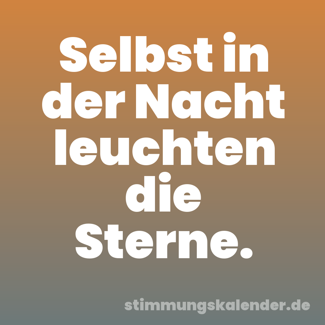 Selbst in der Nacht leuchten die Sterne.