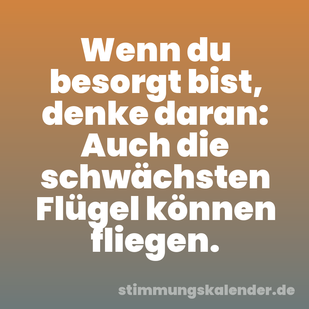 Wenn du besorgt bist, denke daran: Auch die schwächsten Flügel können fliegen.