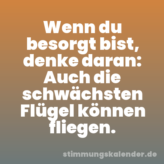 Wenn du besorgt bist, denke daran: Auch die schwächsten Flügel können fliegen.