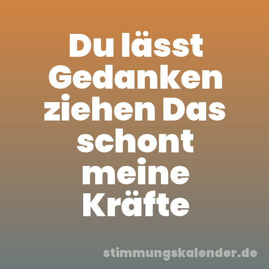 Du lässt Gedanken ziehen Das schont meine Kräfte