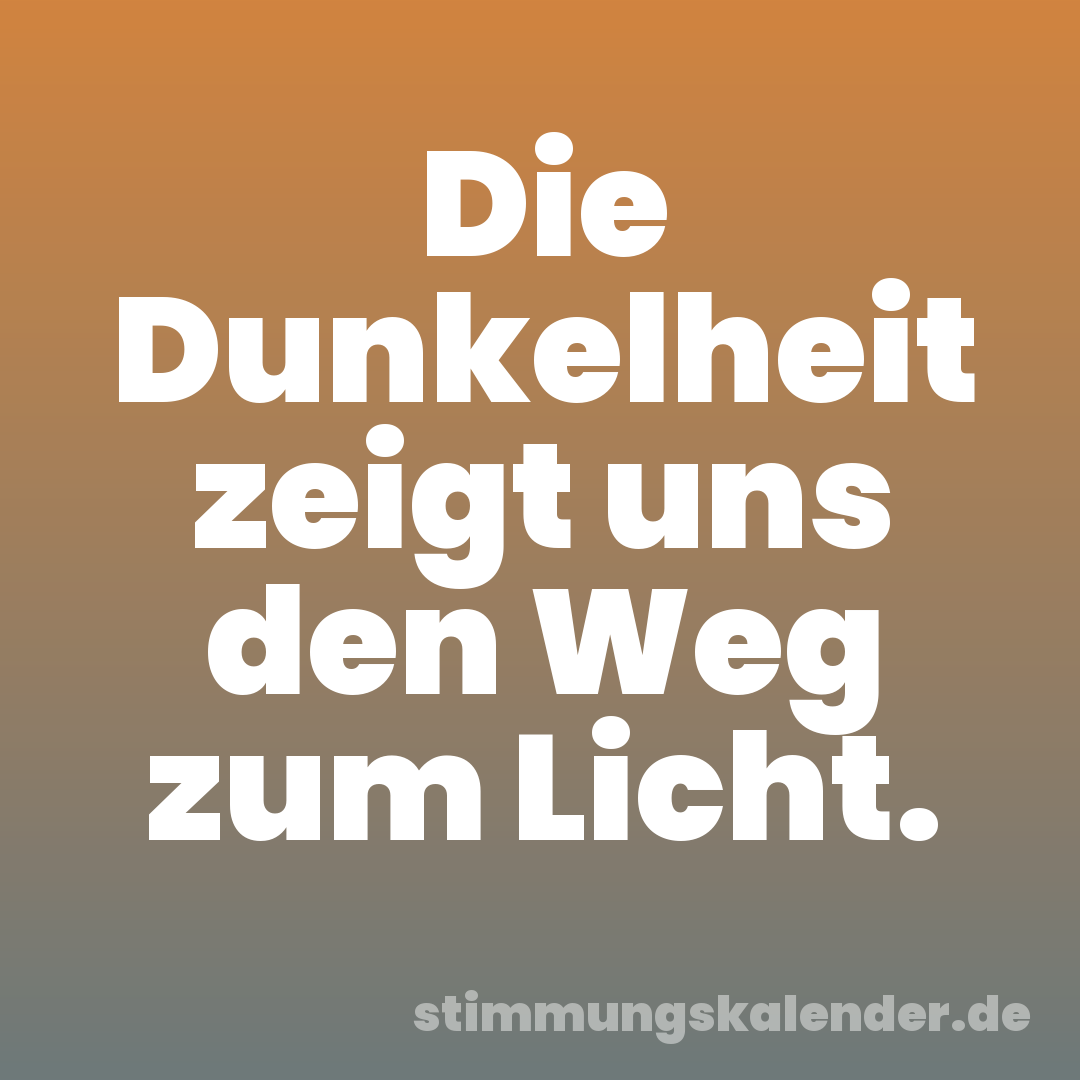 Die Dunkelheit zeigt uns den Weg zum Licht.
