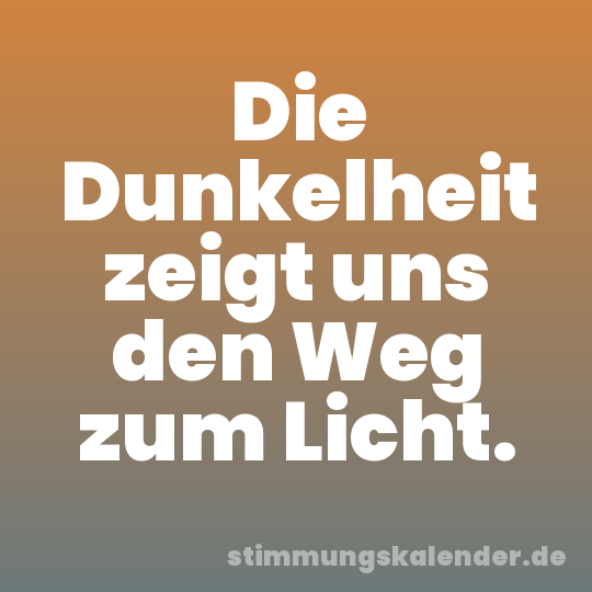 Die Dunkelheit zeigt uns den Weg zum Licht.
