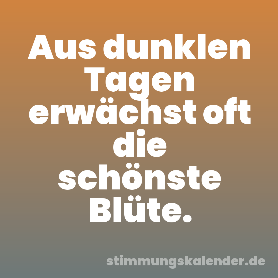 Aus dunklen Tagen erwächst oft die schönste Blüte.