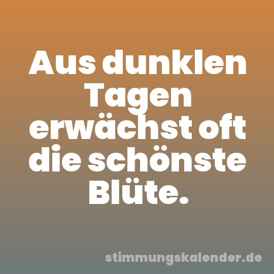Aus dunklen Tagen erwächst oft die schönste Blüte.