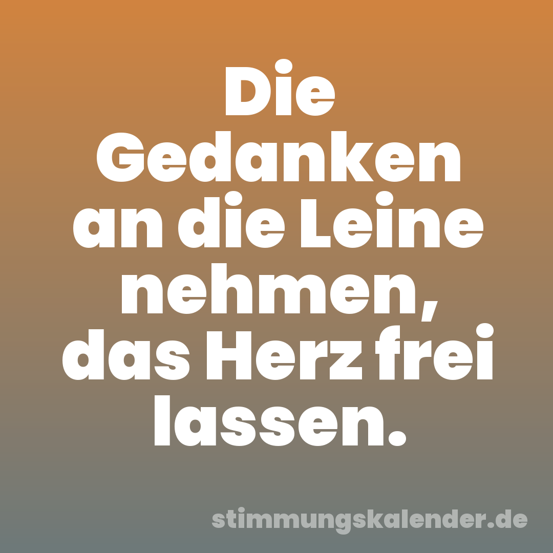 Die Gedanken an die Leine nehmen, das Herz frei lassen.
