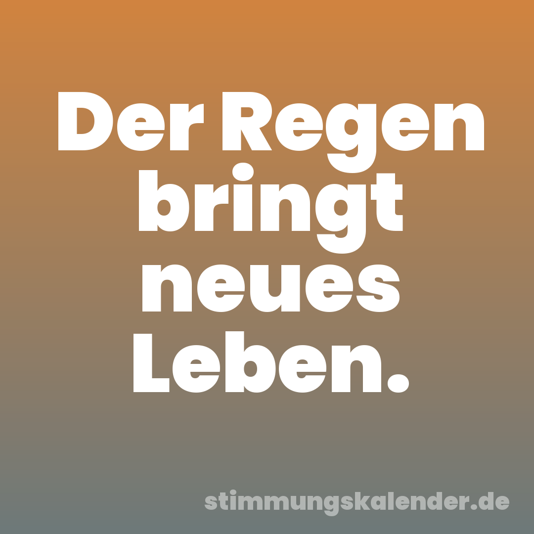 Der Regen bringt neues Leben.