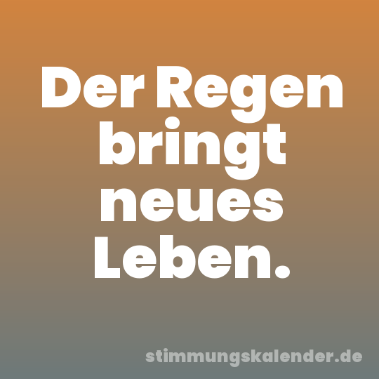Der Regen bringt neues Leben.