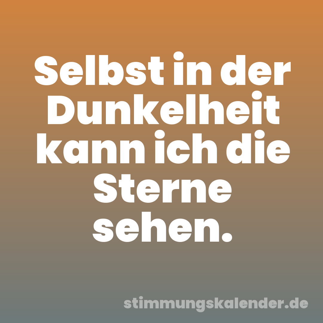 Selbst in der Dunkelheit kann ich die Sterne sehen.