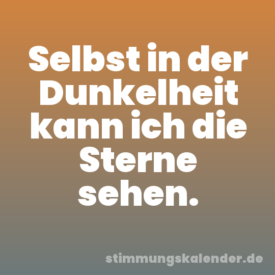 Selbst in der Dunkelheit kann ich die Sterne sehen.